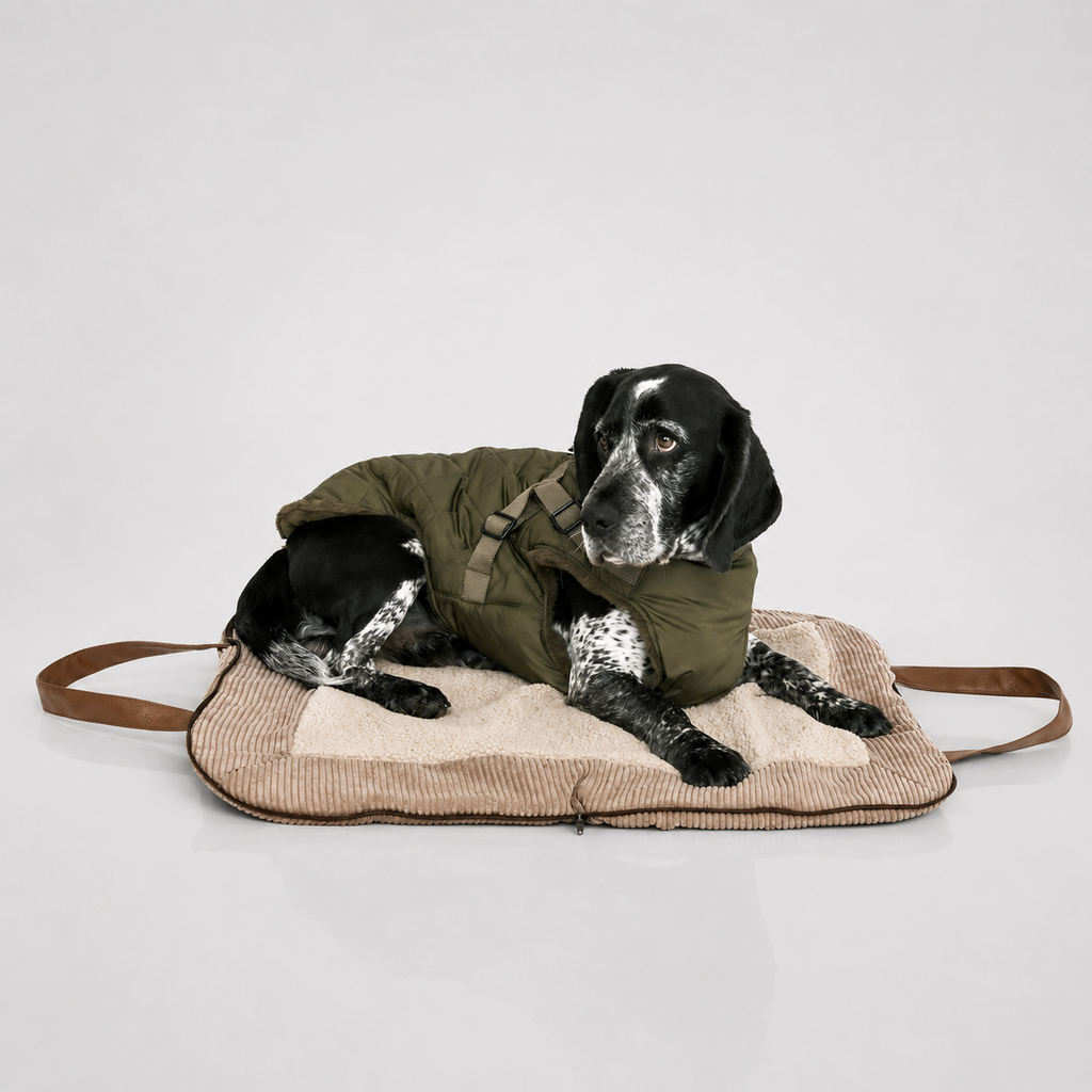 Charly Cord Travel Mat-Bag – Hund liegt auf ausgeklappter Matte, Khaki