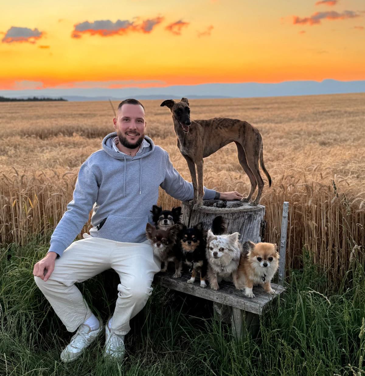 manuel-hinrichs-dogs